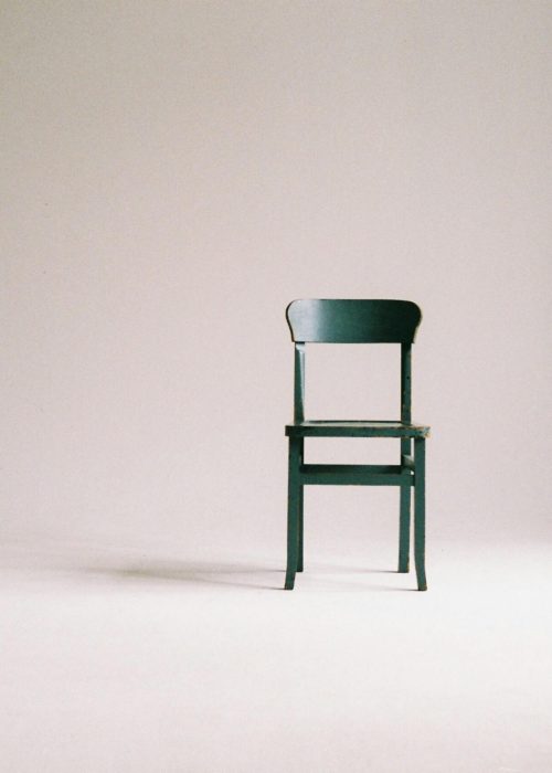 pexels-paula-schmidt-353488-963486